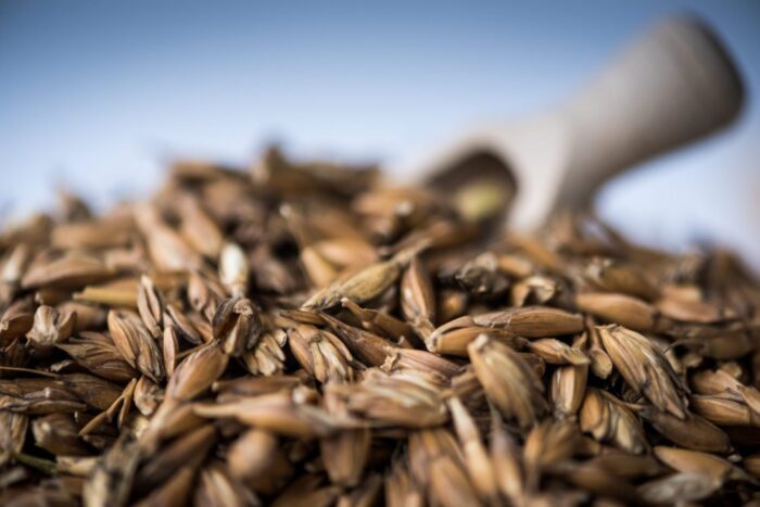 import zbóż, kontrola importu zbóż, ukraina, krzysztof jurgiel