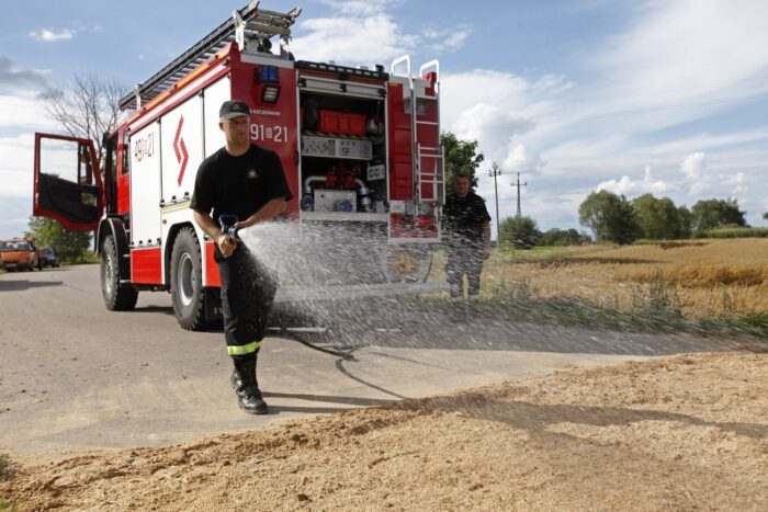 trzoda chlewna, podlasie, asf, afrykański pomór świń, asf u świń