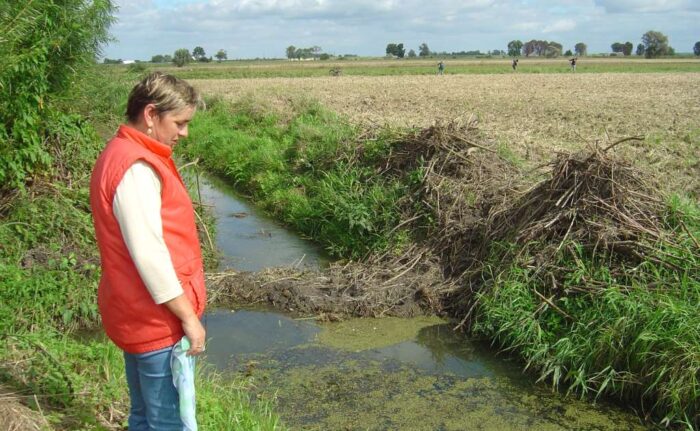 bobry, przyroda, ustawa, prawo,  projekt zmiany ustawy o ochronie przyrody, ClientEarth Prawnicy dla Ziemi