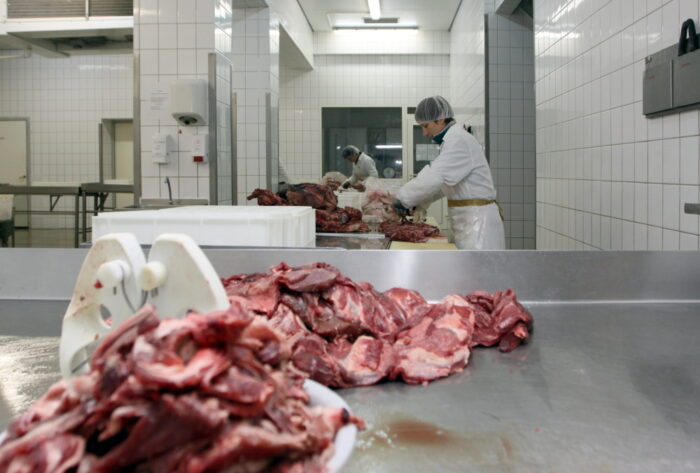 tasiemiec, tasiemiec Spirometra, dziczyzna, Instytut Biologii Ssaków PAN w Białowieży, Marta Kołodziej Sobocińska