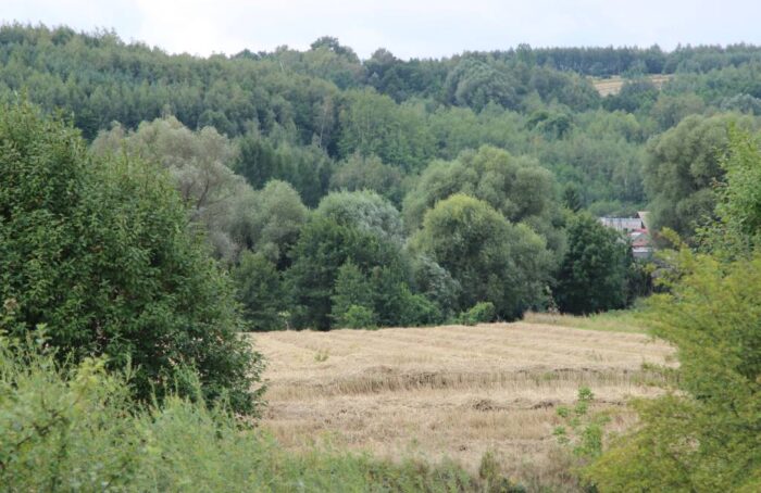grunty rolne, sprzedaż ziemi, ustawa o ustroju rolnym