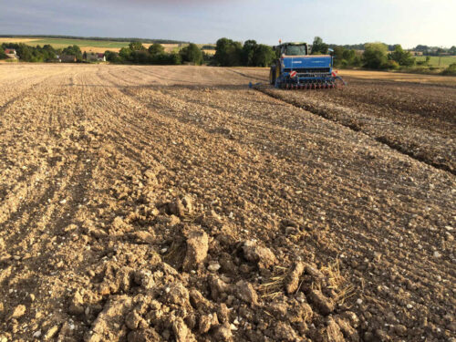 siew, rzepak, siewnik