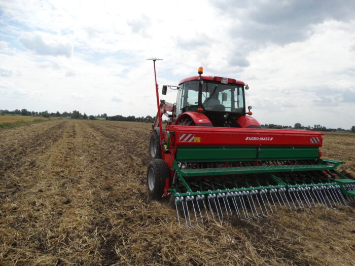 siew rzepaku, siewnik, pole