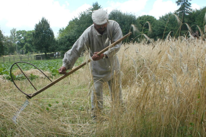 Muzeum Wsi Mazowieckiej, skansen, sierpc, mazowsze