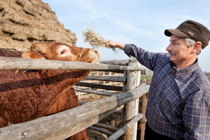 prow, śląsk, Regionalny Program Operacyjny Województwa Śląskiego