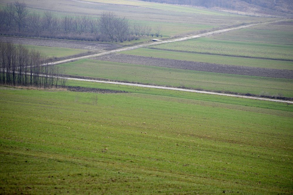 ustawa o obrocie ziemią, sprzedaż ziemi, dzierżawa ziemi, obrót ziemią