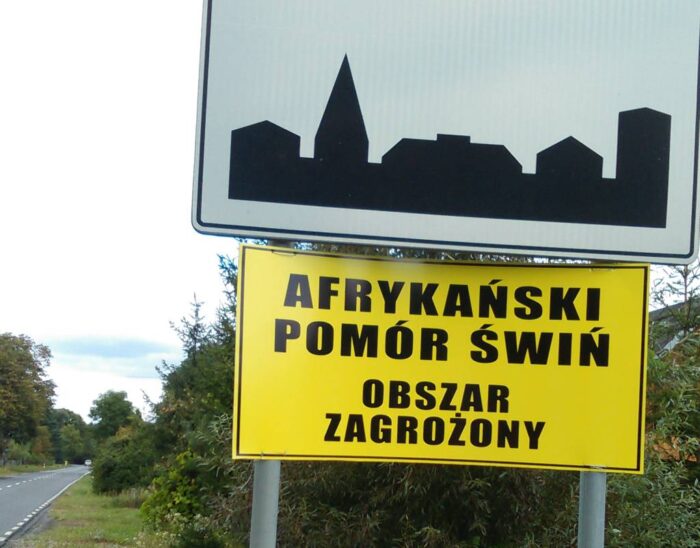 walka z ASF, Marek Sawicki, ASF, afrykański pomór świń