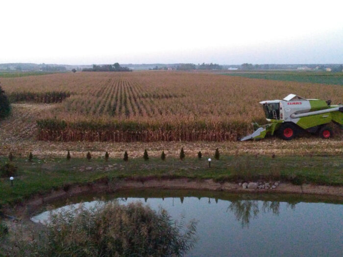 kukurydza, zbiór na ziarno, kombjan, Szczutowo