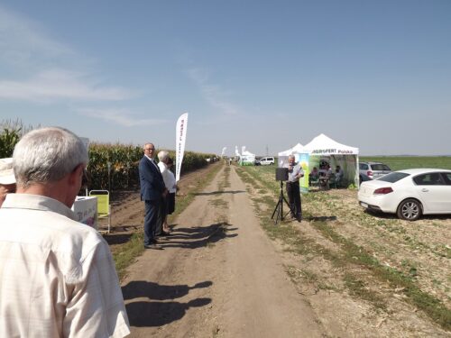 skołoszów, krajowy dzień kukurydzy, Polski Związek Producentów Kukurydzy, krzysztof ochmański, maria kozioł