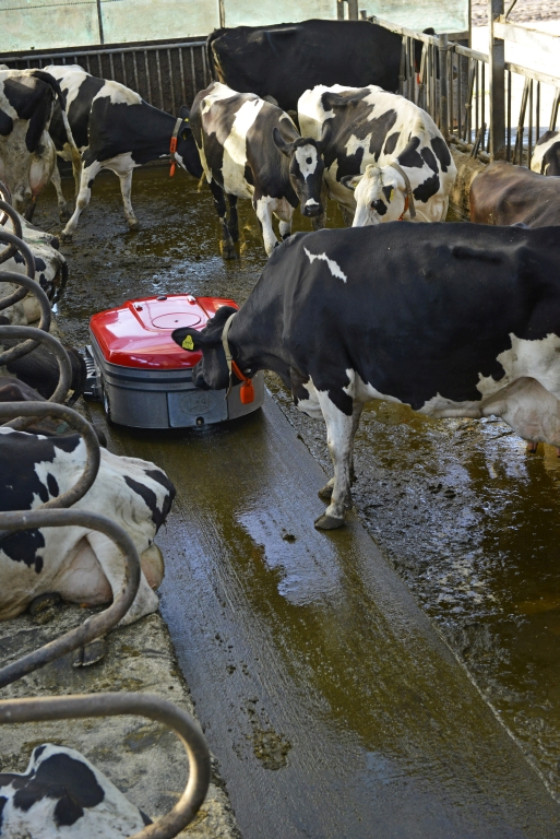 lely, Lely Discovery 120 Collector, odchody, obora