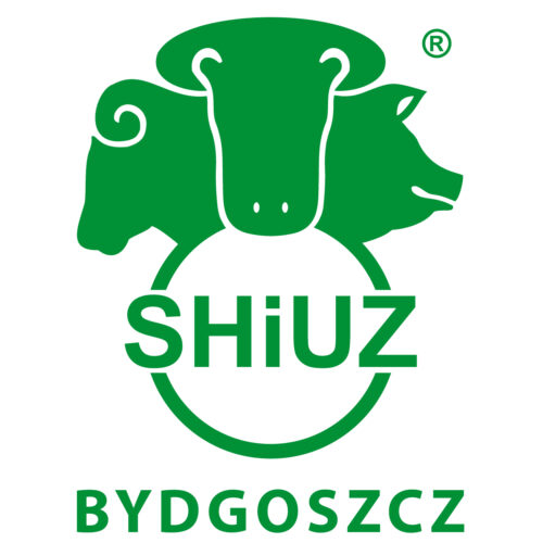 shiuz budgoszcz