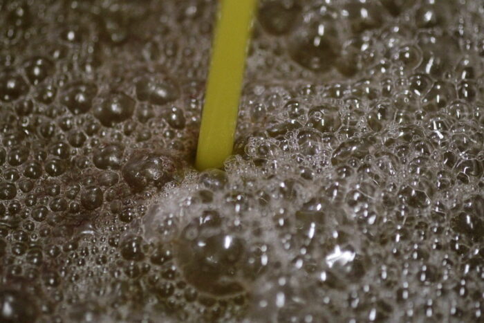 włochy, oliwa, oliwa z pierwszego tłoczenia, związek rolników Coldiretti, Maurizio Martina