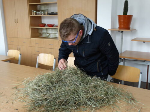 OWiUR, Warszawa, SGGW, eliminacje okręgowe OWiUR, XLI edycja OWiUR, olimpiada