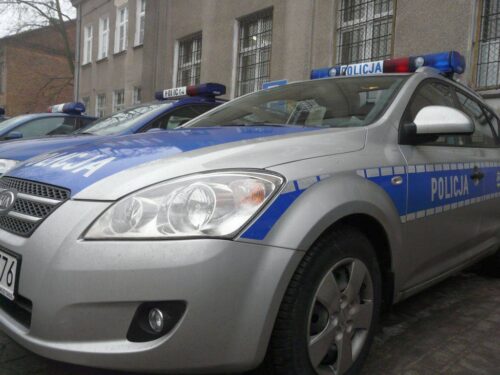 mak, uprawa maku, mak niskomorfinowy, krir, ministerstwo zdrowia