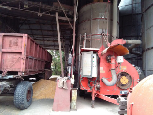 ziarno kukurydzy, magazyn, suszenie