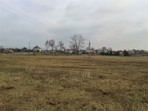 produkcja na ugorach, ugory, wojna na Ukrainie, bezpieczeństwo żywnościowe Polski