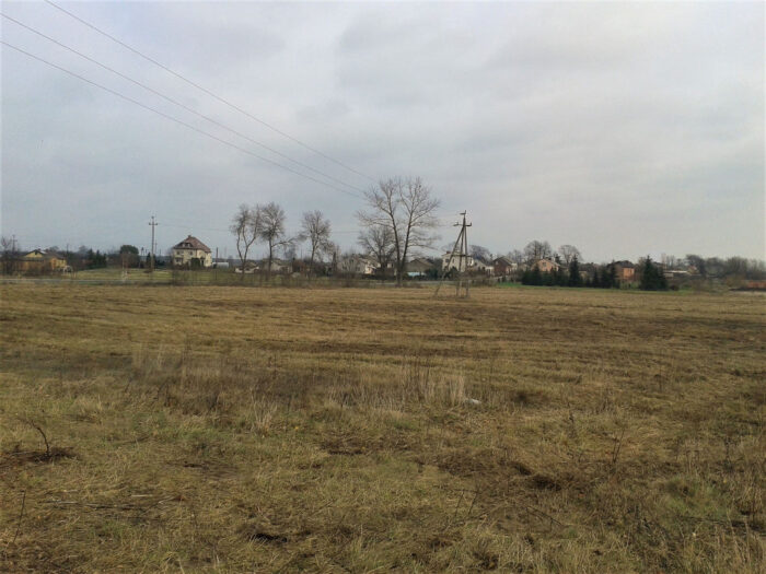 produkcja na ugorach, ugory, wojna na Ukrainie, bezpieczeństwo żywnościowe Polski