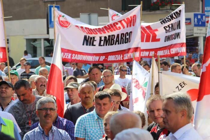 sadownicy, ceny skupu owoców miękkich, sadownictwo, premier Morawiecki, rząd PiS