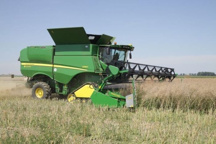 pszenica, zbiory pszenicy, jakość ziarna, francja, jęczmień, kukurydza