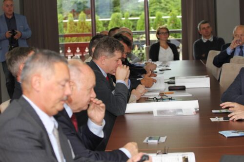 bydło mięsne, charolaise, mamki, odsadki