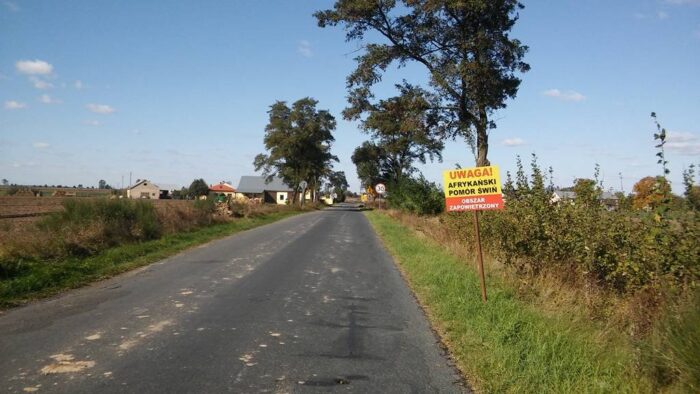 asf, bioasekuracja, zwalczanie asf, ognisko asf