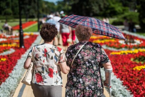 emerytura, renta, świadczenia, krus, fus, rząd