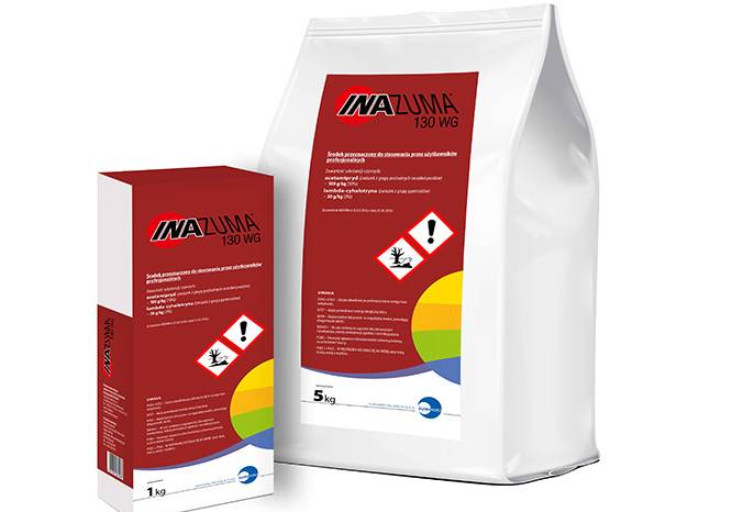 szkodniki, rzapak, pszenica, szkodniki w uprawie rzepaku, Sumi Agro Poland