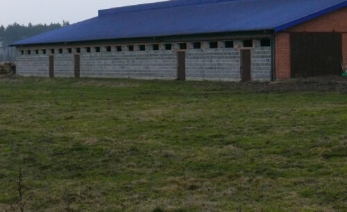 łąki pastwiska jesień