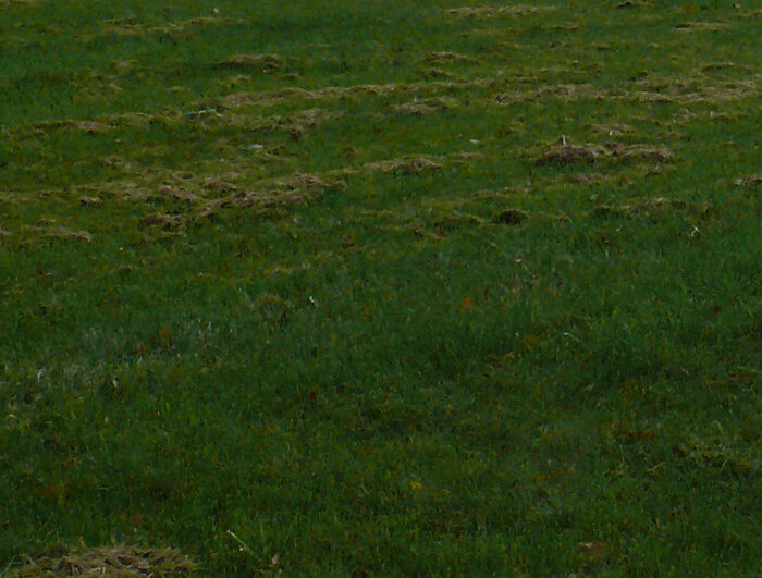 łąki składniki mineralne rolnictwo zrównoważone