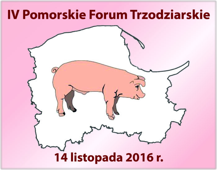 forum trzoda chlewna