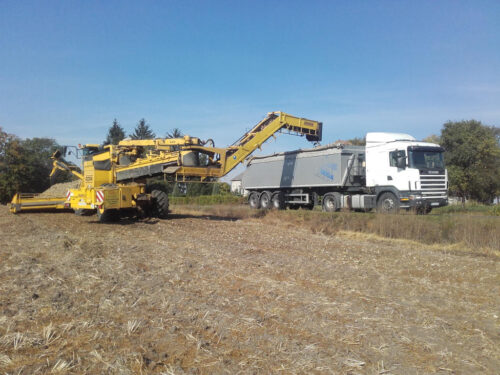 kompleksowa obsługa dostawy, Südzucker Polska, VAT, odbiór buraków cukrowych