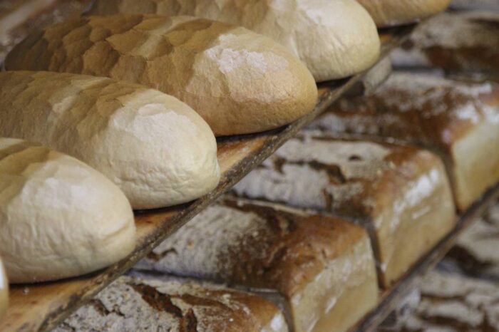 pieczywo, chleb, piekarnia, Gminna Spółdzielnia Samopomoc Chłopska w Ozorkowie