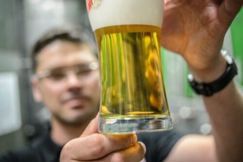 piwo, browarnictwo, sektor piwowarski, piwowar, Uniwersytet Rolniczy w Krakowie