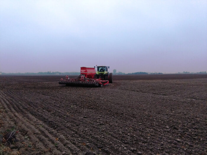 siew, pszenica, siewnik, Szczutowo