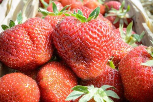 truskawki, ceny, truskawki mrożone, agrobiznes,