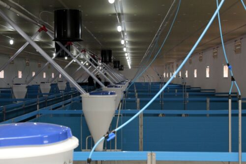 ustawa odorowa, uciążliwość zapachowa, związek gmin wiejskich