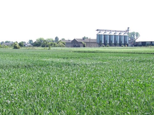 biopaliwa, produkcja biopaliw, arr, agencja rynku rolnego, ministerstwo rolnictwa