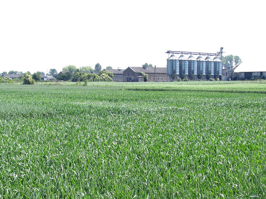 biopaliwa, produkcja biopaliw, arr, agencja rynku rolnego, ministerstwo rolnictwa