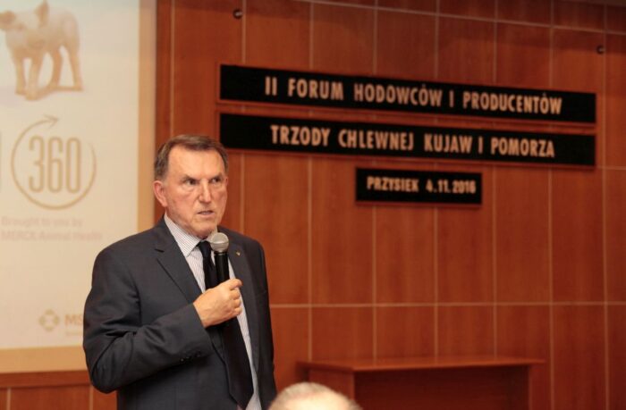 forum, trzoda chlewna, Przysiek