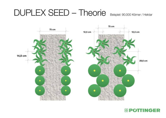 Podwójny wysiew kukurydzy