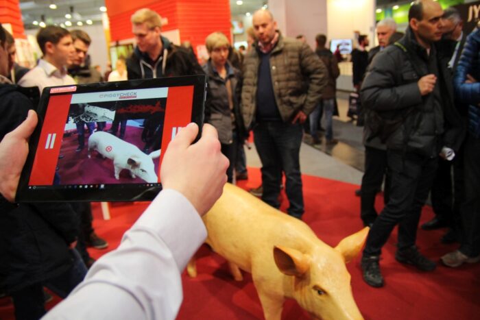 EuroTier, bydło, trzoda chlewna, targi hodowlane