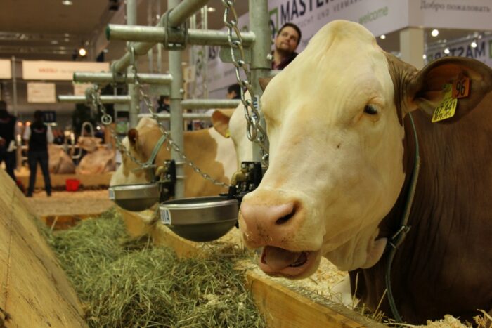 mieszanki traw, Polska Grupa Nasienna, Polska Izba Nasienna, branża nasienna, Hodowla Roślin Bartążek