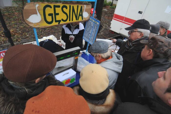 gęsina, drób, mięso, kujawsko-pomorskie, Kujawsko-Pomorska Gęsina na Świętego Marcina