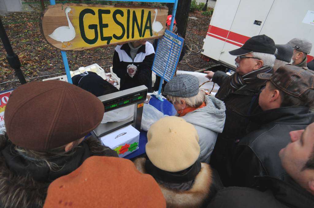 gęsina, drób, mięso, kujawsko-pomorskie, Kujawsko-Pomorska Gęsina na Świętego Marcina