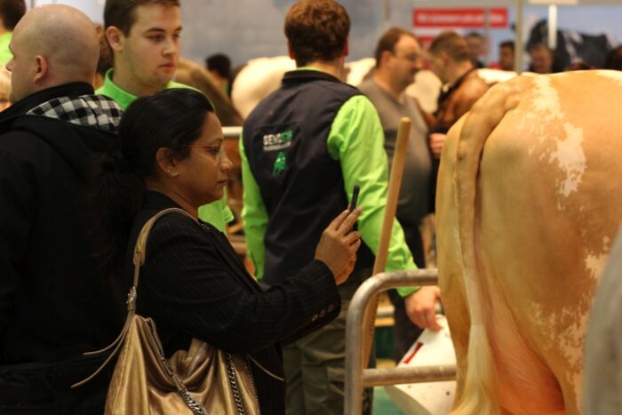 EuroTier, bydło, trzoda chlewna, targi hodowlane