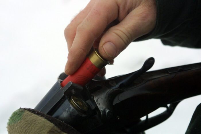 myśliwi, gus, koła łowieckie, dzikie zwierzęta, asf, odstrzał dzików