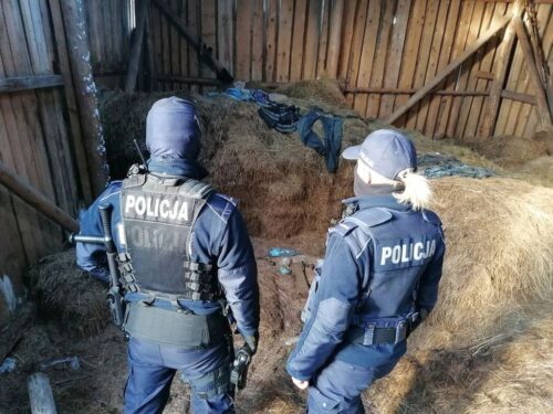 usiłowanie zabójstwa, ojciec, syn, stodoła