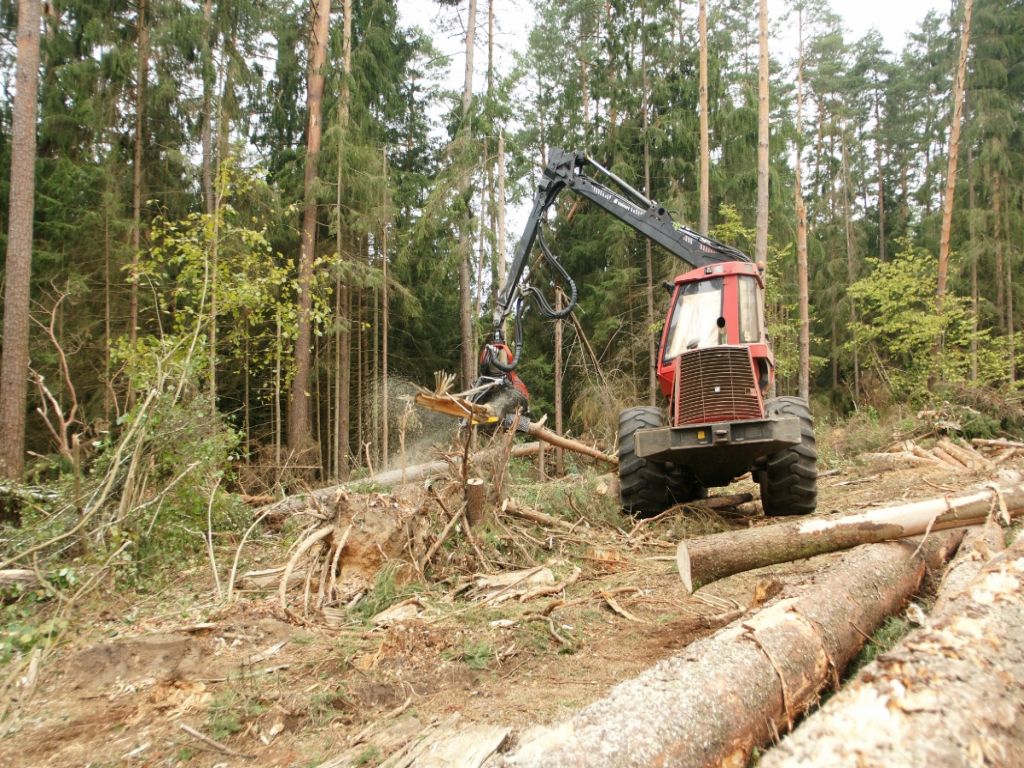 puszcza knyszyńska, huragan, las, drewno, wiatrołom, Jarosław Krawczyk