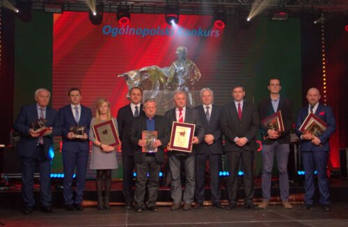 Producent Bydła Mięsnego 2016 r., bydło opasowe