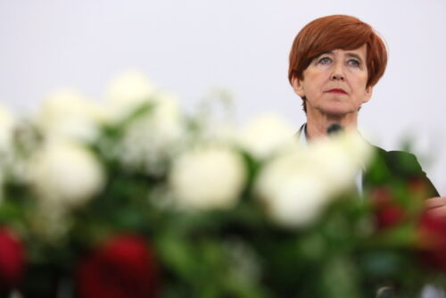 program rodzina 500 plus, ministerstwo rodziny pracy i polityki społecznej, elżbieta rafalska